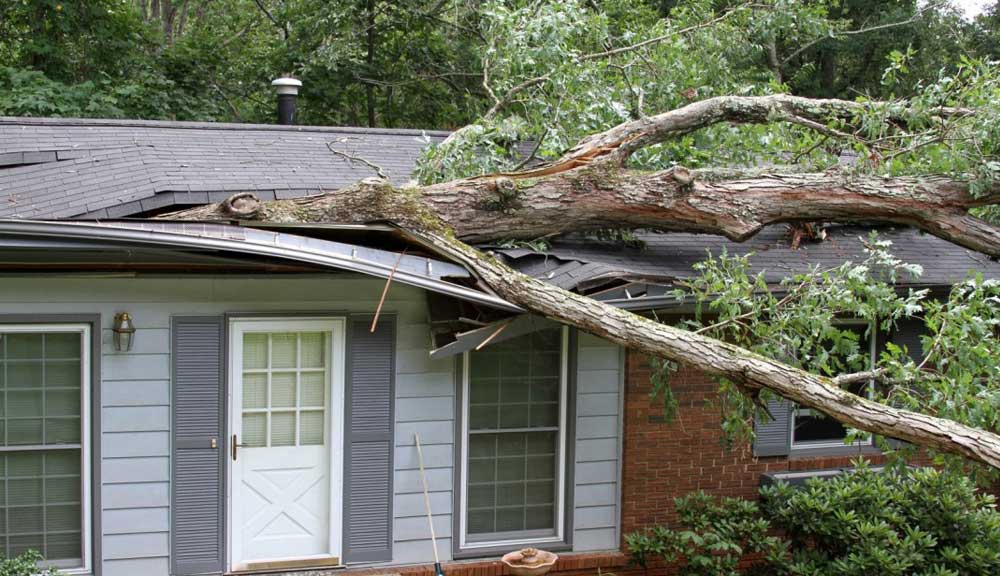 Walker Roofing & Construction LLC Storm Damage Repair Contractors