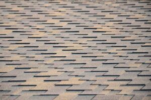 architectural shingle options