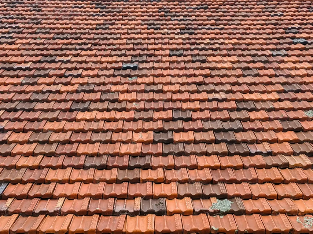 Damaged multicolored roof shingles